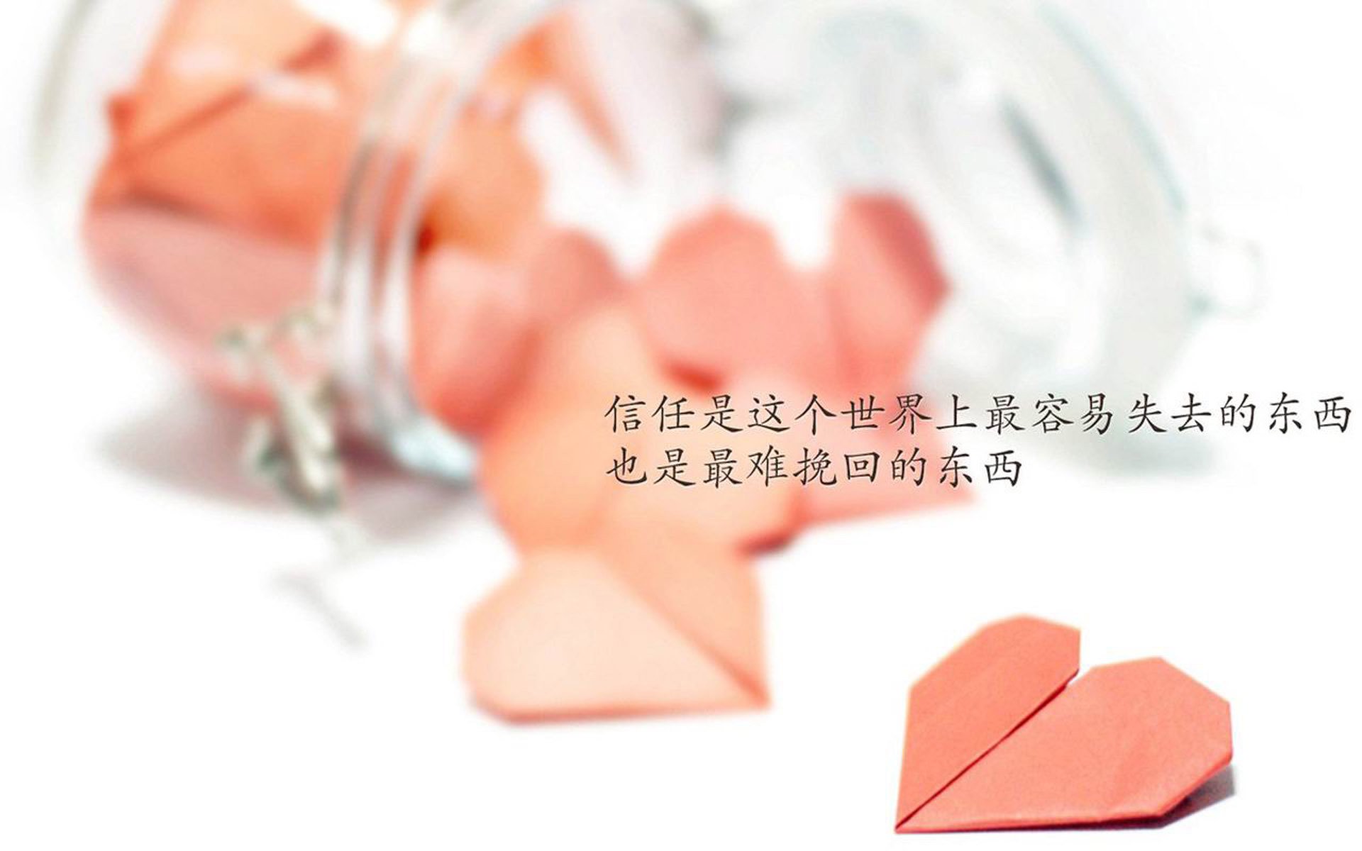 逆境中崛起的“黑马”夺冠之旅，逆袭的黑马是什么意思