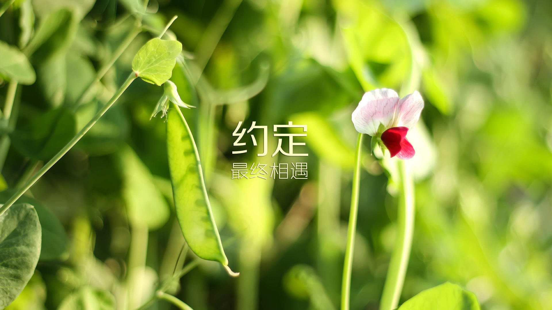 TES启动职业选手心理健康促进计划