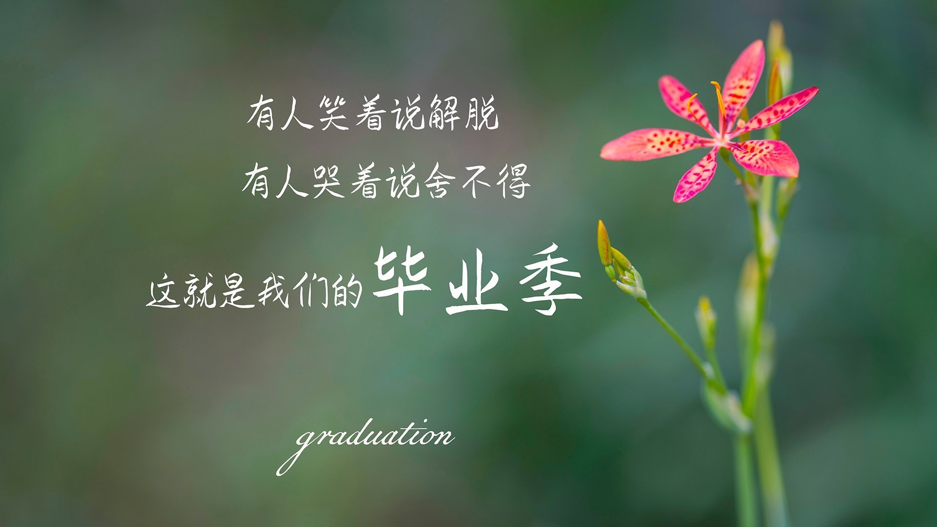 中国篮球联赛观众体验提升策略，篮球比赛观众体验和参与的重要性