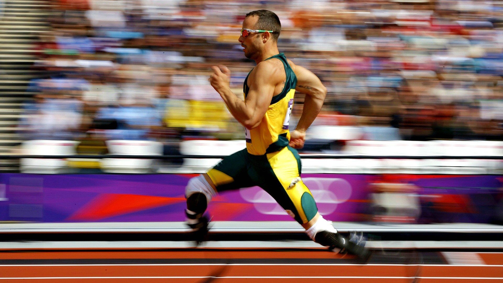 数字体育课程资源开发与应用效果分析，数字化体育课